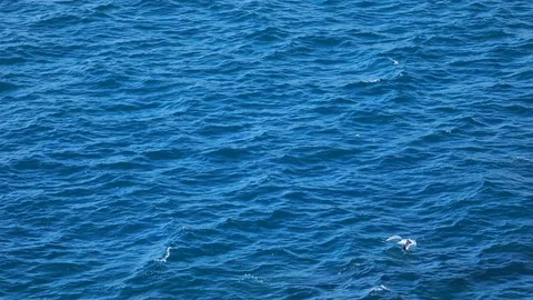 Sea of the naples Video stock 128452868