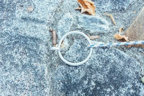 Sea node Stock Photos