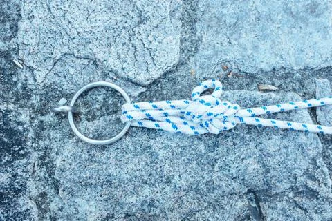 Sea node Stock Photos