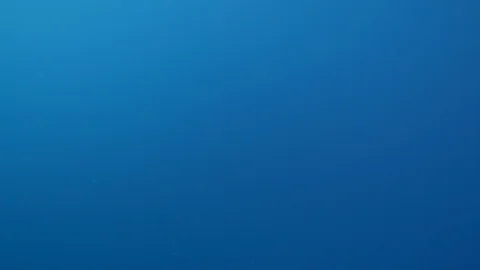 Sea &amp; Ocean Stock Footage 118217445