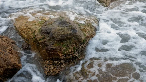 Sea ocean theme Stock-Footage 93323294