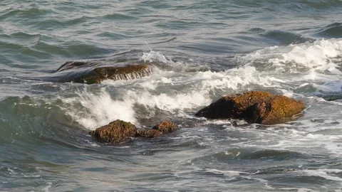 Sea, ocean theme Stock Footage 93714251