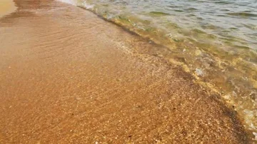 The sea ocean wave with sandy beach at daylight noon Video stock 85712431