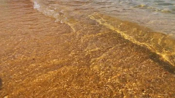 The sea ocean wave with sandy beach at daylight noon Video stock 85712490