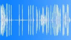 Sea Otter CU Distress Sound Effect