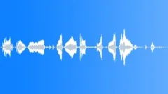 SEA OTTERSound Effect