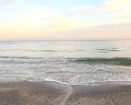 Sea PAL 3 Stock Footage 935743