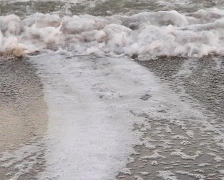 Sea PAL 5 Stock Footage 938386