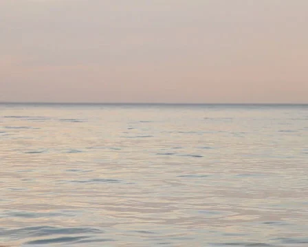 Sea PAL 8 Stock Footage 939011