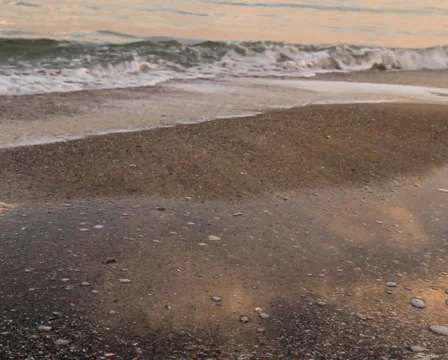 Sea PAL 9 Stock Footage 939215
