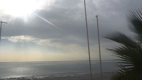 Sea palm tree. Branches of palm trees silhouette against sky. scenery of Stock Footage 81906437
