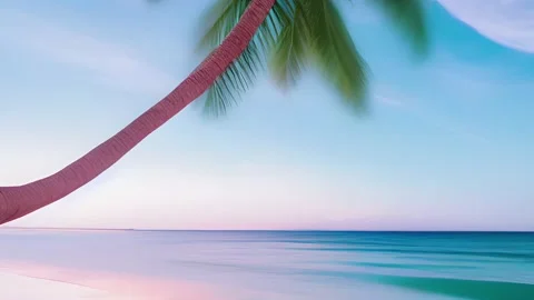 Sea of palm trees 17a Stock Footage 234063567