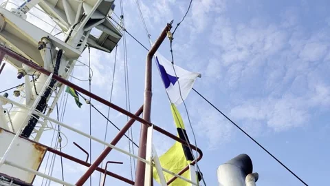 Sea Parade with Flags Stock Footage 328951473