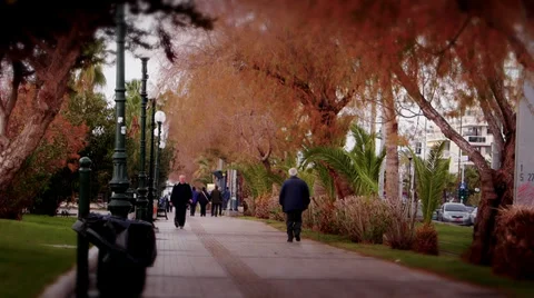 Sea park Stock Footage 33844666