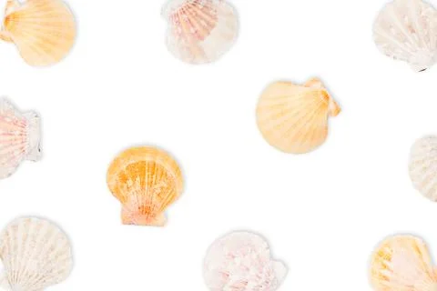 Sea pattern, top view, flat lay. Summer concept. Yellow sea shells pattern Stock Photos