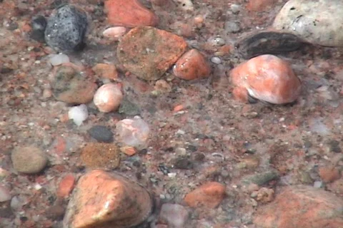 Sea pebbles 库存影片 595322