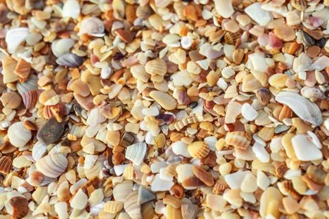 Sea pebbles 库存照片