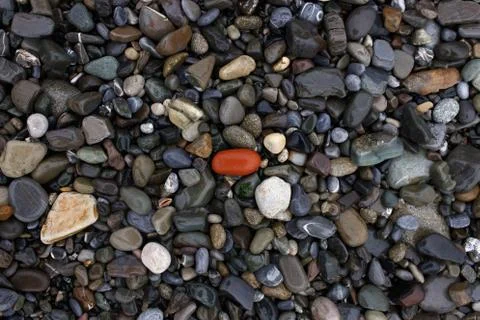 Sea pebbles Stock Photos