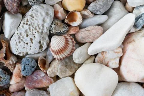 Sea Pebbles With Shells Stock Photos