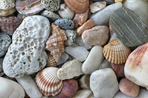 Sea Pebbles With Shells Stock Photos
