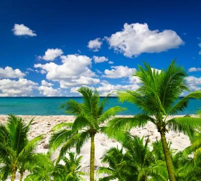 Sea Foto stock