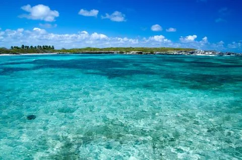 Sea Foto stock