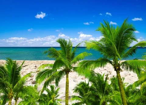 Sea Stock Photos