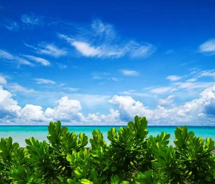 Sea Stock Photos