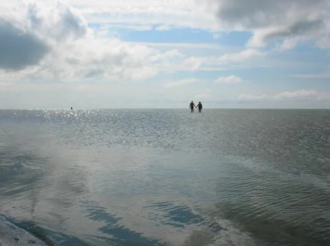 The sea Stock Photos