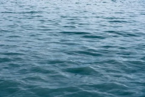Sea Stock Photos