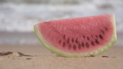 Sea ​​piece of watermelon Stock Footage 83988452