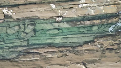 Sea plates Video stock 265689448
