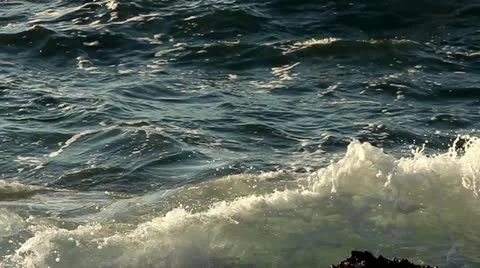 Sea playing Stock Footage 20504005