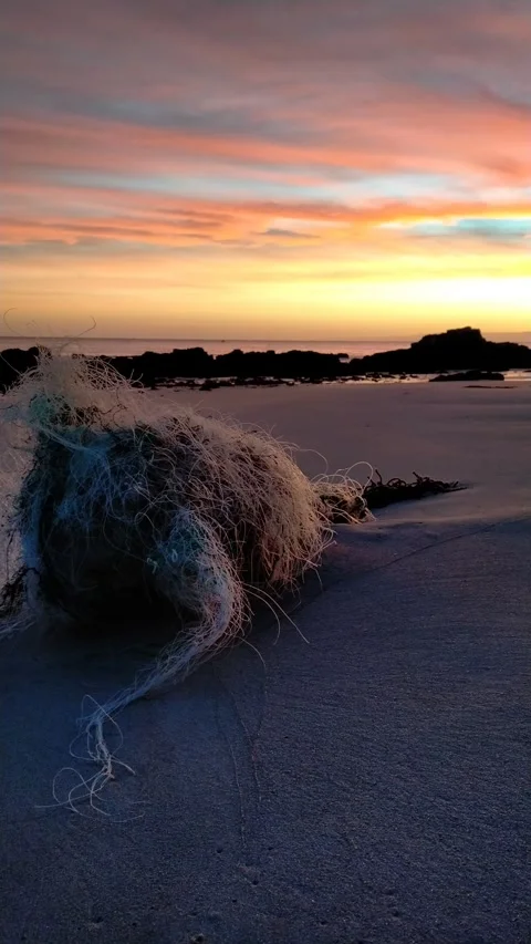 Sea pollution in a cantabrian beach Stock Footage 326534619