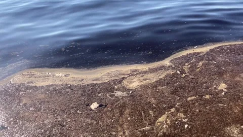 Sea Pollution with Plastic Bag Stock Footage 327866601