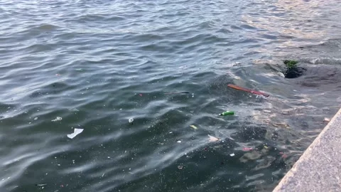 Sea Pollution at the Shoreline (Slowmotion) Stock Footage 239483575