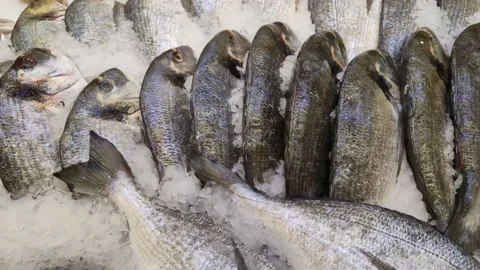 Sea raw fish on the shelf of the store. Fresh fish on crushed ice Видео 171209166