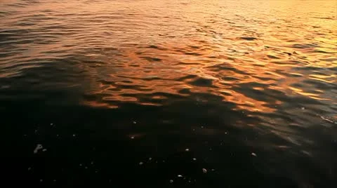 Sea in ray of the sundown Stock Footage 10834154