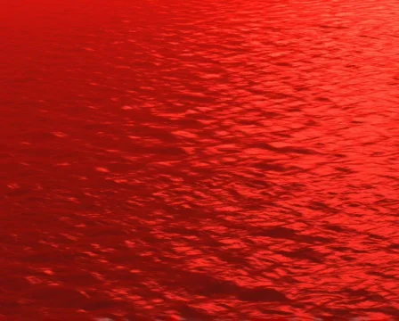 Sea Red 库存影片 103677