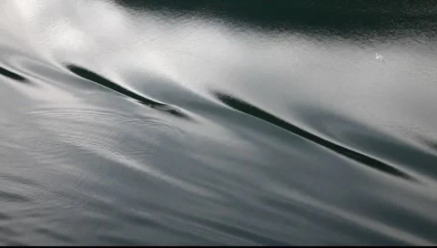 Sea reflections Stock Footage 1100859