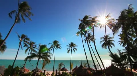 Sea resort loop Stock Footage 10750868