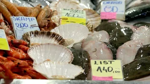 Sea richness Video stock 12107048