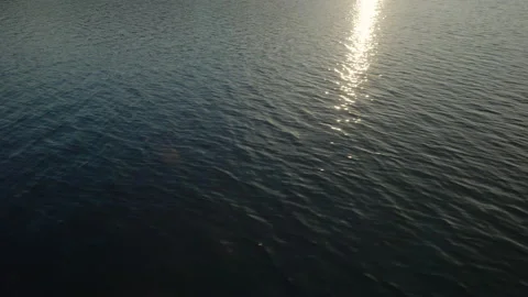 Sea ripple in the evening Stock Footage 220004670