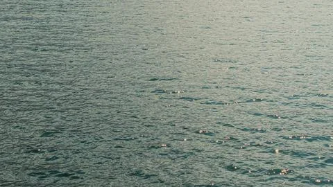 Sea ripples Stock Photos
