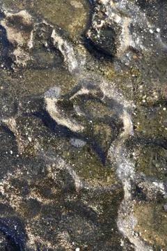 Sea rock cliff surface texture. Rough marine mineral background. Stock Photos