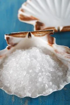 Sea rock salt in a shellfish  Stock Photos