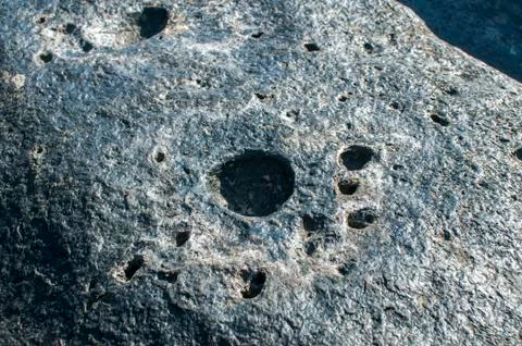 Sea rock surface with dryed algae closeup Foto stock