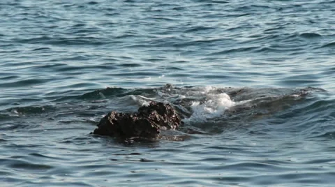 Sea Rocks 3 Stock Footage 33937559