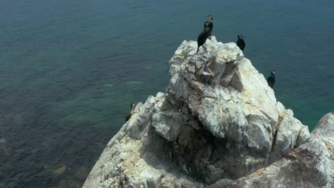 Sea rocks with birds on them. Stock Footage 149081908
