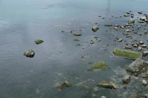 Sea with rocks emerging from the water Фото